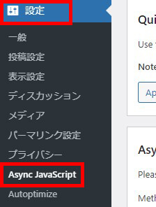 Async JavaScriptの設定箇所